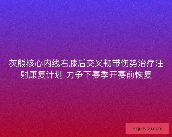 灰熊核心内线右膝后交叉韧带伤势治疗注射康复计划 力争下赛季开赛前恢复 灰熊核心内线右膝后交叉韧带伤势治疗注射康复计划 力争下赛季开赛前恢复